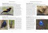 A Naturalist's Guide to the Birds of Australia
