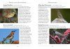 A Naturalist's Guide to the Birds of Australia