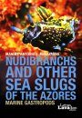 Nudibranchs and Other Sea Slugs of the Azores