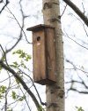 Woodpecker Bird House
