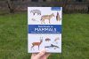 Field Guide to Mammals of Europe, North Africa and the Middle East