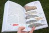 Field Guide to Mammals of Europe, North Africa and the Middle East