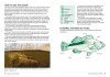 Field Guide to British Fish