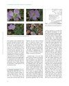 A Monograph of the Genus Geranium L. (Geraniaceae)