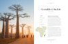 Lonely Planet: The Tree Atlas