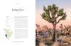 Lonely Planet: The Tree Atlas