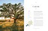Lonely Planet: The Tree Atlas