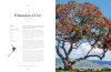 Lonely Planet: The Tree Atlas