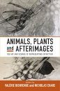 Animals, Plants and Afterimages