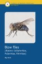 RES Handbook, Volume 10, Part 16: Blow Flies (Diptera: Calliphoridae, Polleniidae, Rhiniidae)