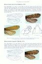 RES Handbook, Volume 1, Part 17: The Adult Trichoptera (Caddisflies) of Britain and Ireland
