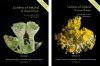 Lichens of Ireland & Great Britain: A Visual Guide to Their Identification (2-Volume Set)