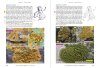 Lichens of Ireland & Great Britain: A Visual Guide to Their Identification (2-Volume Set)