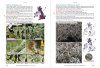 Lichens of Ireland & Great Britain: A Visual Guide to Their Identification (2-Volume Set)