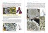 Lichens of Ireland & Great Britain: A Visual Guide to Their Identification (2-Volume Set)
