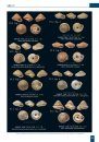 Type Specimens of Land Snails Described by R. T. Lowe from Macaronesia