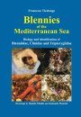 Blennies of the Mediterranean Sea