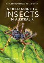 A Field Guide to Insects in Australia