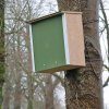 ARX Naturalis Pine Marten Box