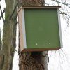 ARX Naturalis Pine Marten Box