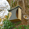 ARX Naturalis Simon King Baffle Bird Nester