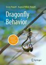 Dragonfly Behavior