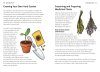 Bloomsbury Concise Medicinal Plants Guide
