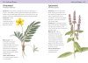 Bloomsbury Concise Medicinal Plants Guide