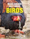 Kgalagadi Self-Drive: Birds