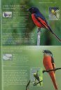 A Photographic Field Guide to the Birds of the Himalayas and South Assam Hills
