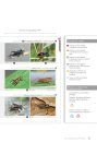 Cahier d'Identification des Orthoptères de France, Belgique, Luxembourg & Suisse [Identification Guide to the Orthoptera of France, Belgium, Luxembourg and Switzerland]