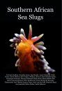 Southern African Sea Slugs