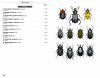 Beetles of Europe, Volume 2