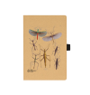 Stick Insects Notebook