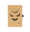 Hawk-moth Notebook