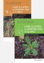 Flore Illustrée du Burkina Faso et du Mali [Illustrated Flora of Burkina Faso and Mali] (2-Volume Set)