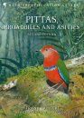 Pittas, Broadbills and Asities