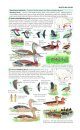 Field Guide to the Birds of North America