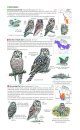 Field Guide to the Birds of North America