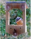 Build Your Own Bird Feeder