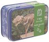 T-Rex In A Tin