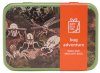 Bug Adventure In A Tin