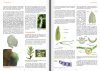 Les Bryophytes de France, Tome 2: Pleurocarpes et Sphagnales [The Bryophytes of France, Volume 2: Pleurocarpous and Sphagnum Moss]