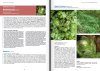 Les Bryophytes de France, Tome 2: Pleurocarpes et Sphagnales [The Bryophytes of France, Volume 2: Pleurocarpous and Sphagnum Moss]