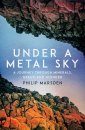 Under a Metal Sky