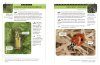 An Identification Guide to Garden Insects of Britain and North-West Europe