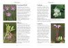 A Naturalist's Guide to the Wild Flowers of Britain and Northern Europe