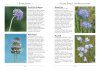 A Naturalist's Guide to the Wild Flowers of Britain and Northern Europe