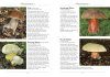 A Naturalist's Guide to the Mushrooms and Other Fungi of Britain and Northern Europe