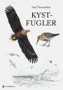 Kystfugler [Shorebirds]